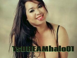 TsDREAMhalo01
