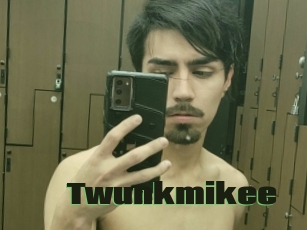 Twunkmikee