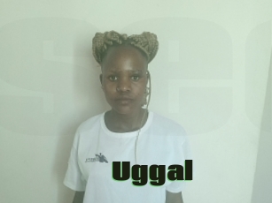 Uggal