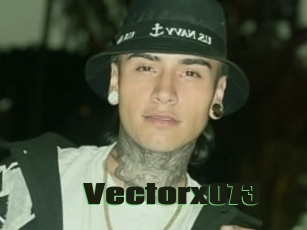 Vectorx073