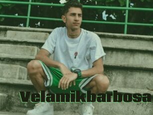Velamikbarbosa