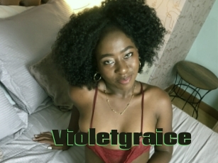 Violetgraice