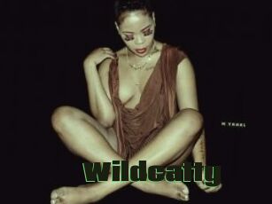 Wildcatty