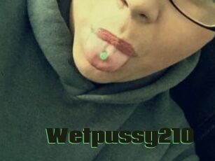 Wetpussy210