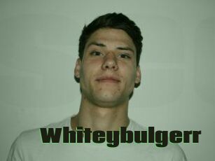 Whitey_bulgerr