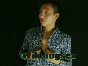 Wildboysex