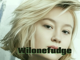Wilonefudge