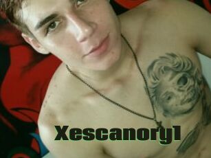Xescanory1