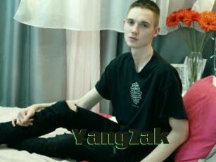 YangZak