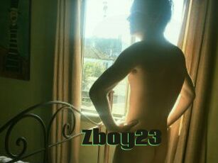Zboy23