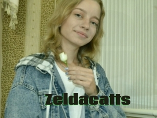 Zeldacatts