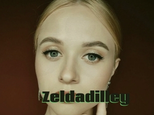 Zeldadilley